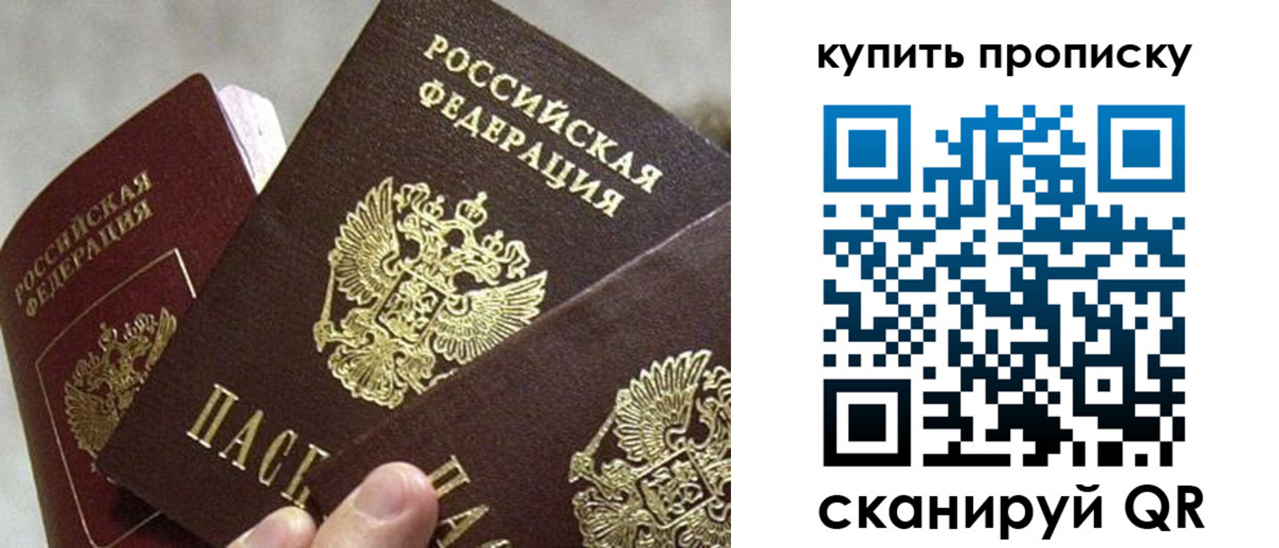 прописка для школы в Пскове